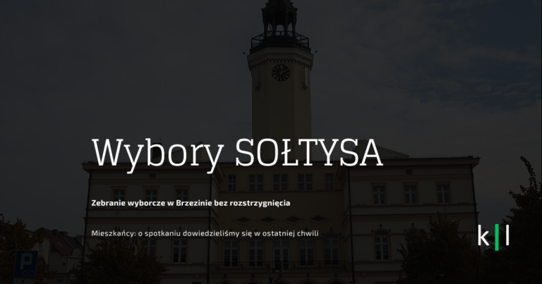 Wybory SOŁTYSA